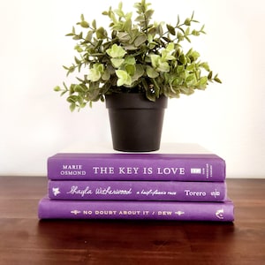 Puple Book Stack Decor – Customize Your Set | Aesthetic Books for Shelf Styling | Coffee Table Decor | Office Decor | Real Hardcover Books