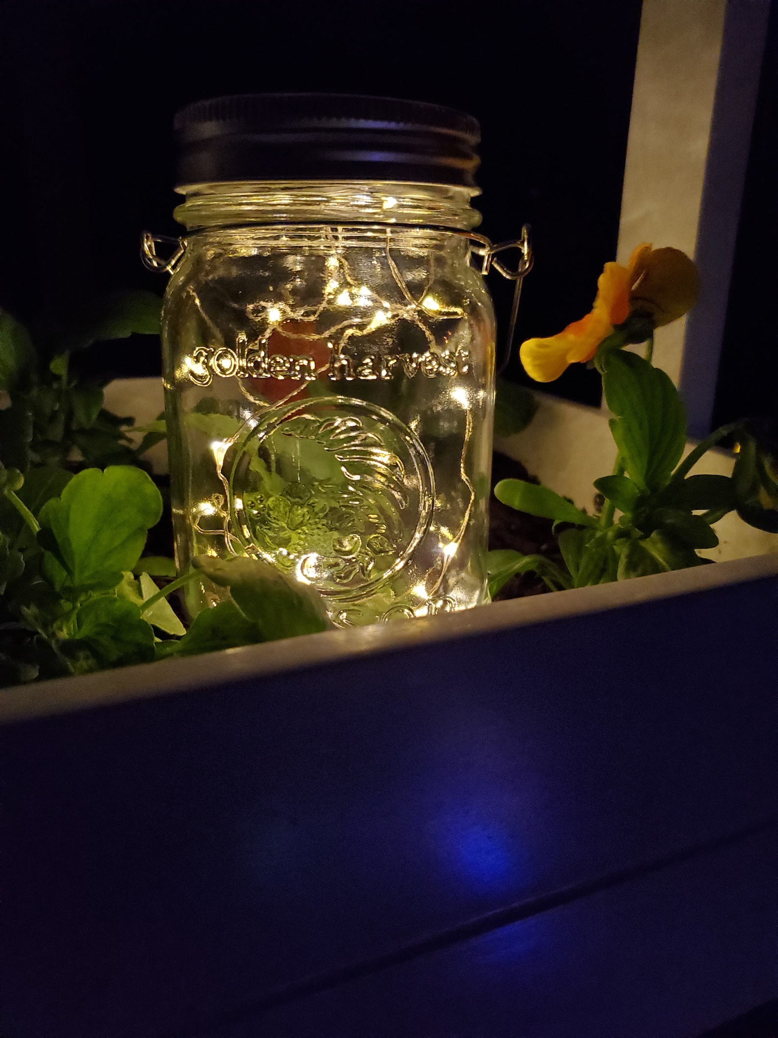 Set of 6 Canning Jar Solar Lids Mason Jar Solar Lights Etsy
