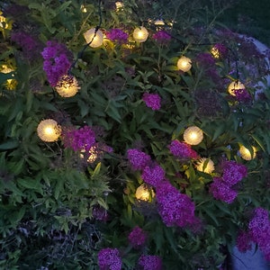 Solar String Lights | 20 Warm White LEDs | 21 Ft Outdoor Solar Garden Lights | Multiple Lighting Modes | Yard, Patio, and Party Decor