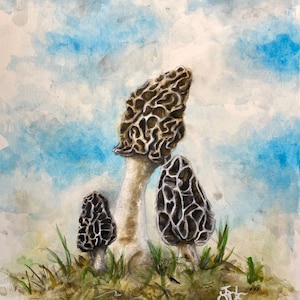 Akwarela z wizerunkiem moreli, wydruk sygnowany | Oryginalny wydruk z grzybami, 8,5” x 11” | Sztuka z wizerunkiem moreli | Sztuka z grzybami | Sztuka ścienna z morelami