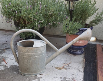 Antique Flying Bat Watering Can, Zinc 10Liter Watering Can, 1930's