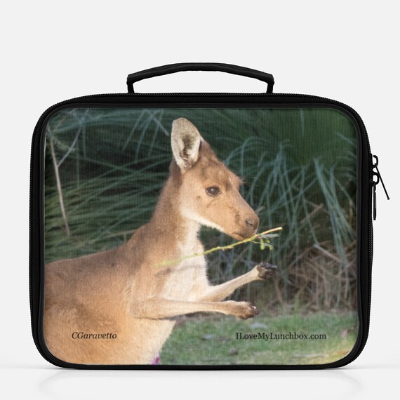unique lunch bags