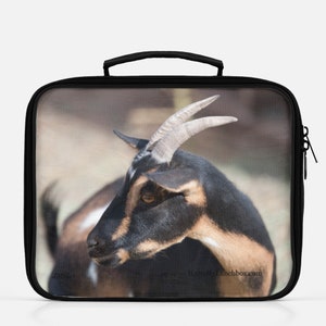 Brown and Beige Goat Face, Photo on a Lunch Box Tote Bag