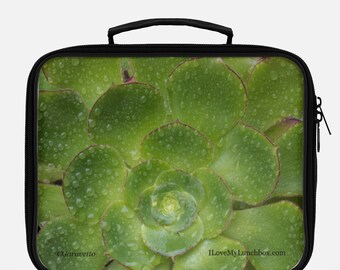 Succulent Green Plant, photo on a Lunch Box Tote Bag