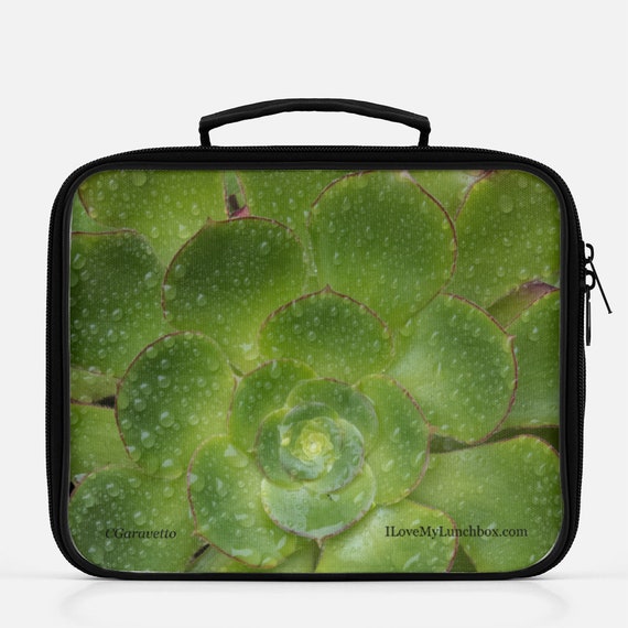 succulent lunch bag