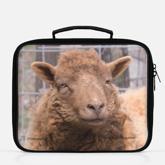 Brown sheep grinning, photo on a Lunch Box Tote Bag