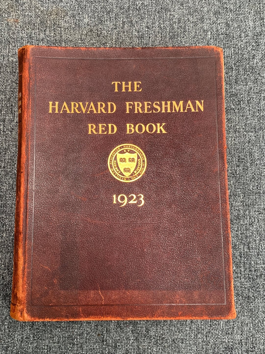 Rare 1923 Harvard Freshman Yearbook Etsy