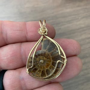May include: A teardrop-shaped pendant featuring a fossilized ammonite encased in a gold-colored wire frame. The fossil displays a spiral pattern in shades of brown and tan. The pendant has a loop at the top for a chain.
