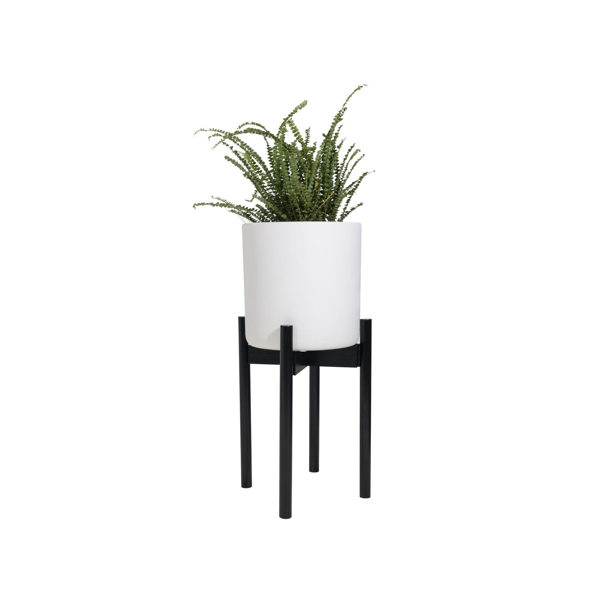 Black Plant Pot Stand