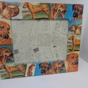 Könnte beinhalten: Rechteckiger Bilderrahmen mit einer Collage von Rhodesian Ridgeback-Hundebildern. Der Rahmen zeigt verschiedene Posen und Porträts der Hunde, vor dem Hintergrund von Vintage-Postkarten. Ein dekorativer Artikel zum Präsentieren von Fotos.
