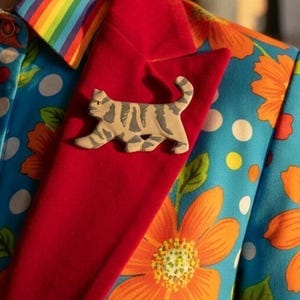 May include: A tan and gray cat-shaped brooch is pinned to a red lapel. The lapel is part of a colorful jacket with a blue floral and polka dot pattern. The jacket's collar has a rainbow stripe design.