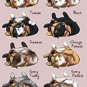 Engranaje de arranque Palico