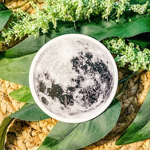 Full Moon Sticker, Mystical Sticker, Witchy Sticker, Witch Stickers, Celestial Stickers, Nature Sticker, Galaxy Sticker | SEMI-MATTE STICKER