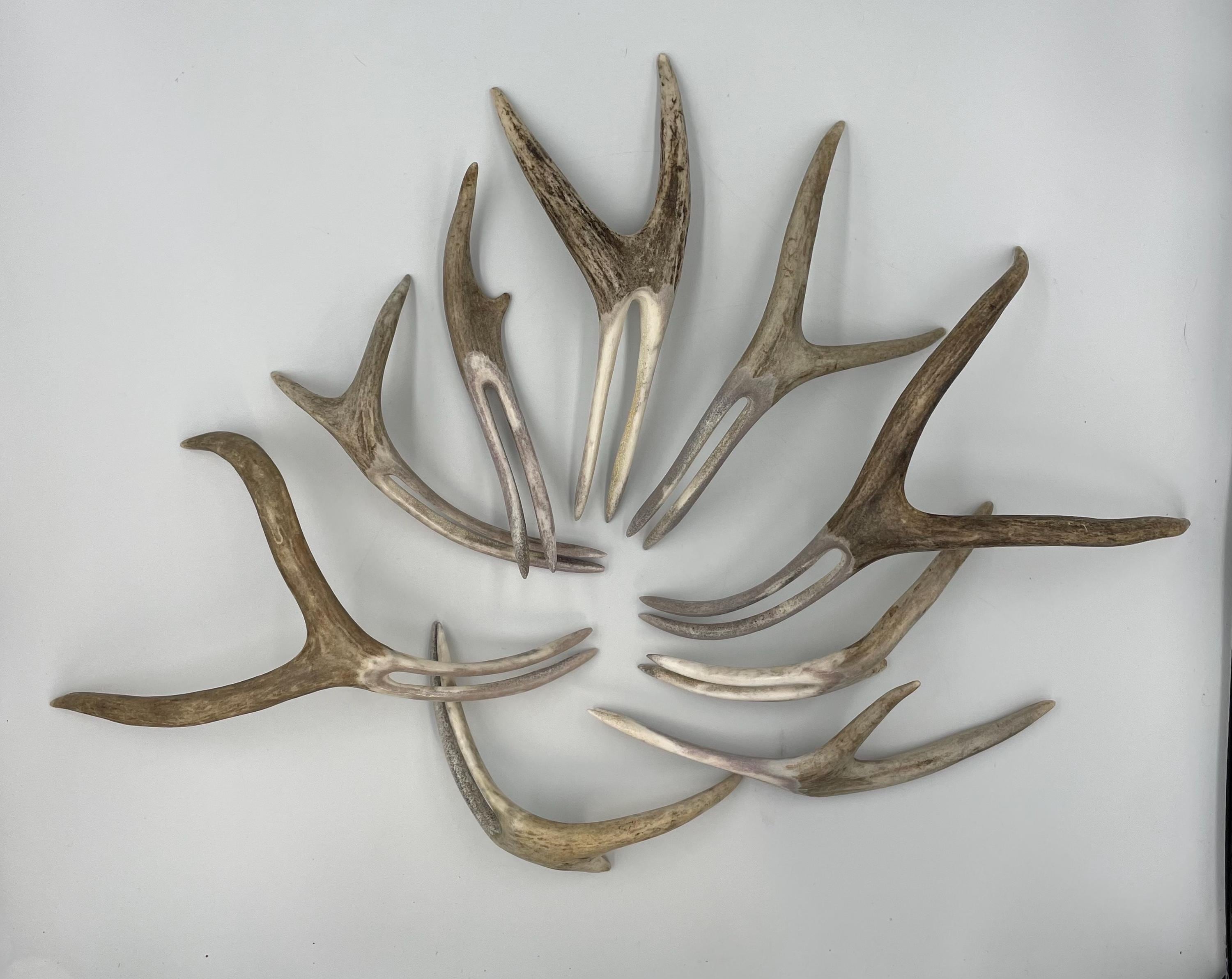 Natural Antler Hair Forks With Tines