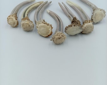 Natural Antler Hair Fork Burr ends