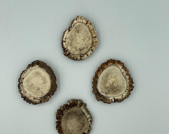 May include: Four circular slices of deer antler arranged in a diamond pattern. Each piece features a rough, dark brown outer bark edge and a smooth, porous, light beige interior surface with natural variations in texture and color throughout.