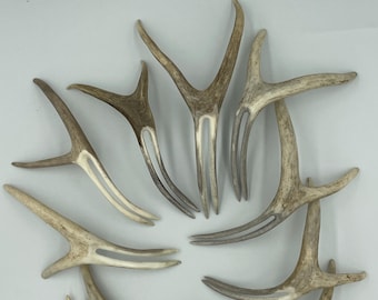 May include: A collection of nine hair forks crafted from natural deer antlers, each featuring a unique Y-shaped design with two prongs. The forks exhibit varied shades of tan, brown, and cream, showcasing the organic texture and smooth finish.