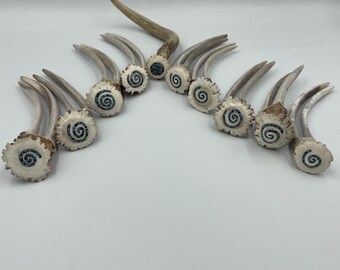 May include: A collection of ten deer antler tips arranged in a semi-circle. Each antler base features a circular inlay with a dark blue spiral pattern. The antlers are light brown and tan with textured, rough surfaces at the base and smooth tips.