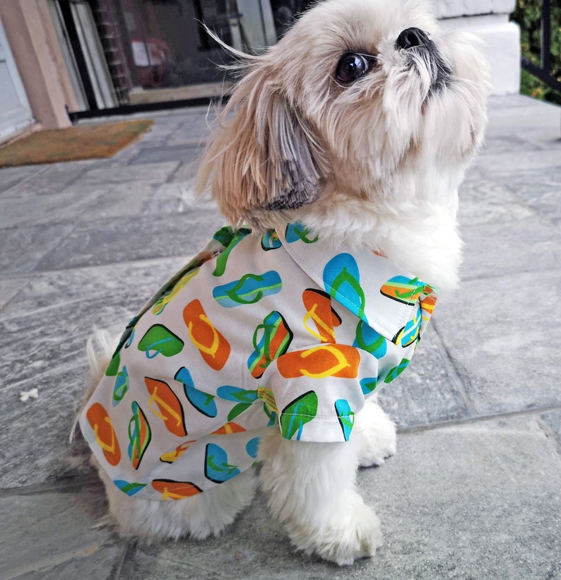 dog dress shirt