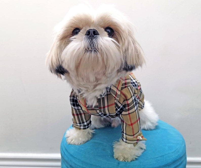preppy dog clothes
