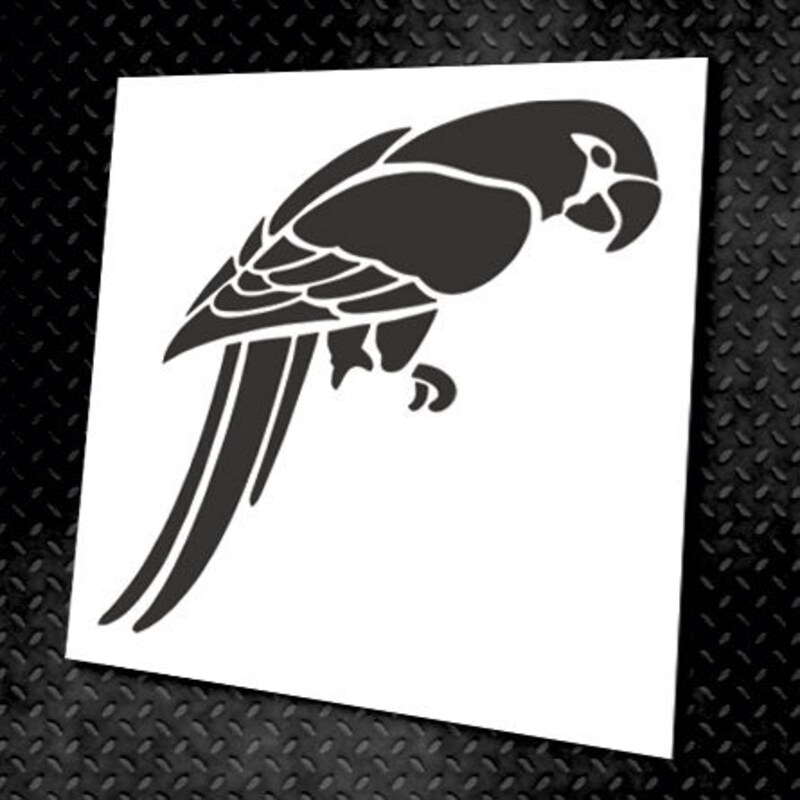 Parrot Stencil - Etsy