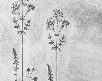 Wildflowers Stencil, Floral Bedroom Decor, Wild Flowers Wall Art, Botanical Wild Flowers, Reusable Stencil, Flower Stencil for Craft Pattern