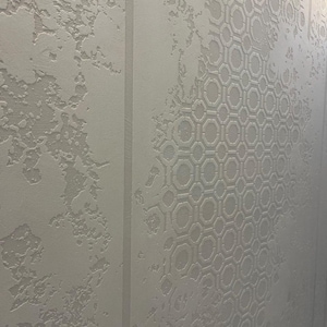 May include: A light gray wall panel featuring a dual-texture design. One section displays a rough, uneven plaster-like finish, while the adjacent section showcases a repeating geometric pattern of interconnected octagons and lines in relief.