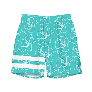 Tropical Retro Stripe Swim Trunks, aqua/white
