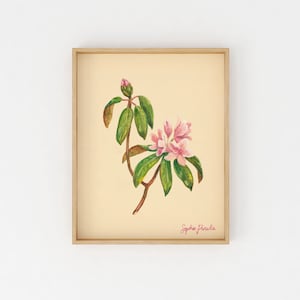 Rhododendron Illustration | Botanical Print | Wall Art Print | Kitchen Decor | Watercolor Floral | Watercolor Print | Vintage Botanical