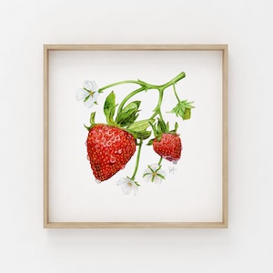 Strawberry Illustration | Botanical Print | Wall Art Print | Kitchen Decor | Illustrated Botanical | Floral