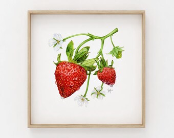 Strawberry Illustration | Botanical Print | Wall Art Print | Kitchen Decor | Illustrated Botanical | Floral