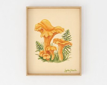 Chanterelle Mushroom Illustration | Botanical Print | Wall Art Print | Watercolor Fungi | Watercolor Print | Vintage Mushroom