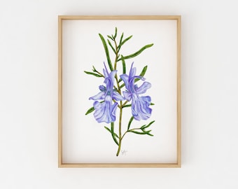 Rosemary Illustration | Botanical Print | Wall Art Print | Kitchen Decor | Watercolor Botanical | Watercolor Print | Floral