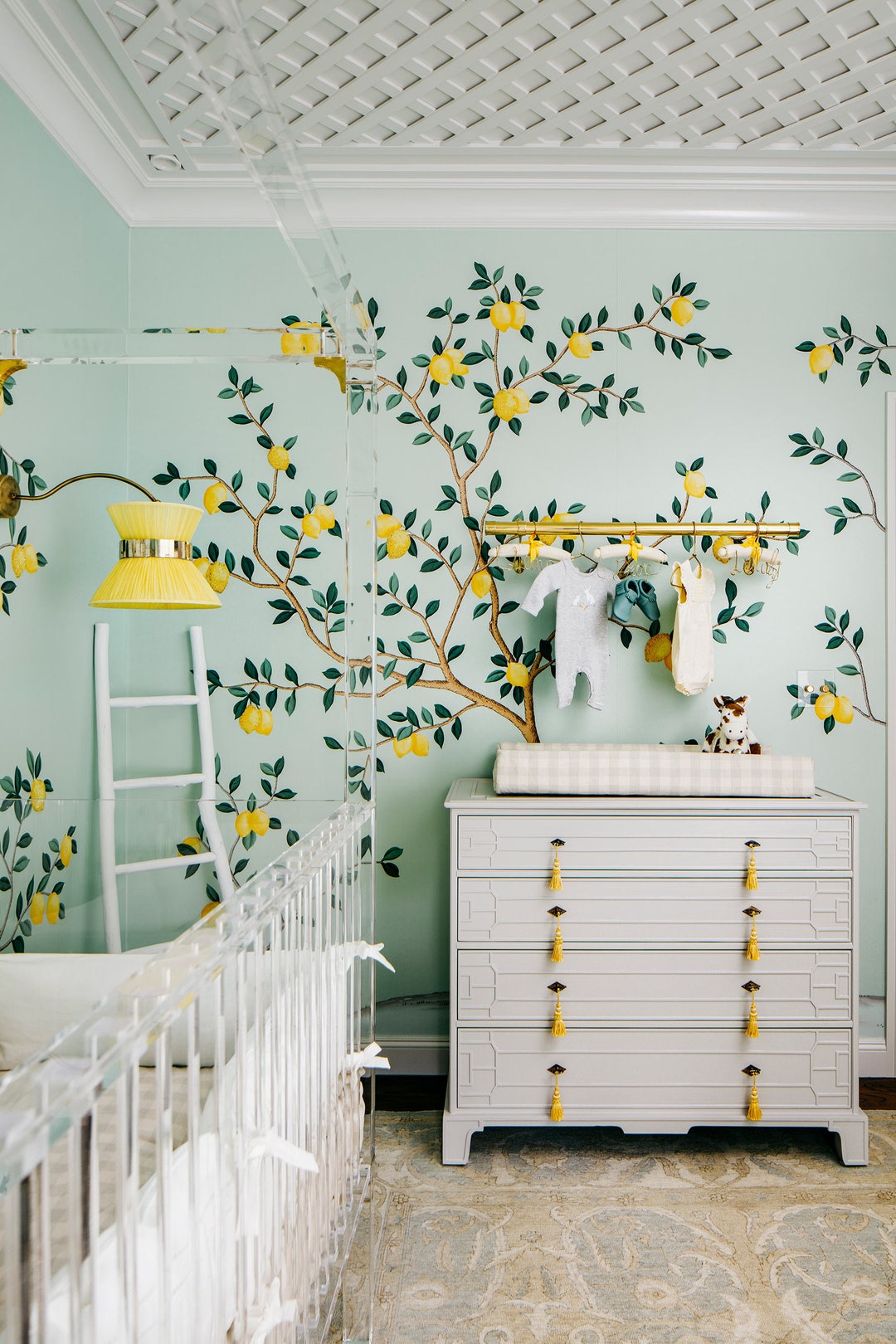Captivating Where Can I Buy A Lemon Tree Picture for Desktop Captivating Where Can I Buy A Lemon Tree Picture for Desktop