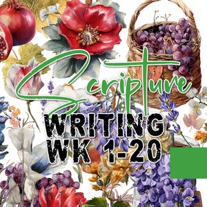 2026 Scripture Writing Kit | Week 1-20 | NT + OT Support |  Devotional Art