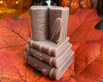 SINGLE PIECE Book Candle, Organic Soy Wax, Autumnal, Book, Stack of Cans, Book Candle, Gift for Bookworms and Bookies