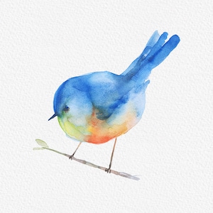 Png sparrow clipart Png watercolor birds Png bird clipart Png robin clipart Png watercolor file Watercolor clipart Planner stickers