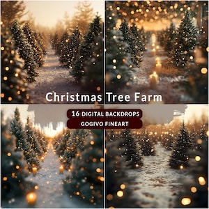 Cenário de fotografia digital de fazenda de árvores de Natal, cenários digitais de Natal, fundo de foto de Natal, cenário de inverno, cenário de férias