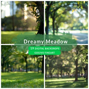Könnte beinhalten: Ein digitales Hintergrundbild-Set mit 19 Bildern einer verträumten Wiese mit grünem Gras, Bäumen und Sonnenlicht. Der Text "Dreamy Meadow" und "19 Digital Backdrops" ist auf dem Bild zu sehen. Der Text "Gogivo Fineart" ist ebenfalls auf dem Bild zu sehen.