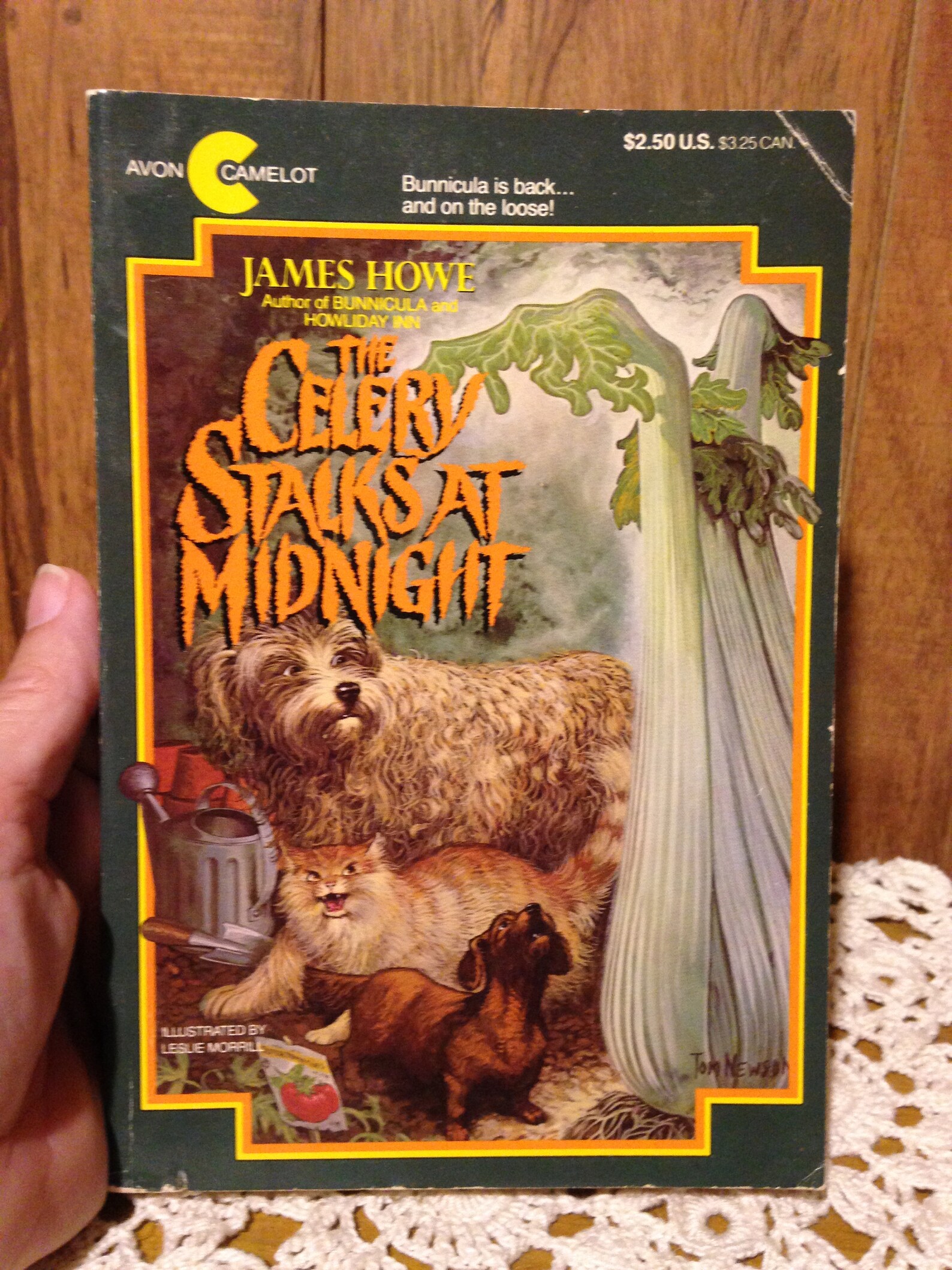 Celery Stalks at Midnight by James Howe Copyright 1983 Etsy