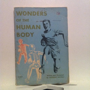 Wonders Of The Body By Anthony Ravielli 1971 printing of a 1954 copyright Paperback Book 125 pages