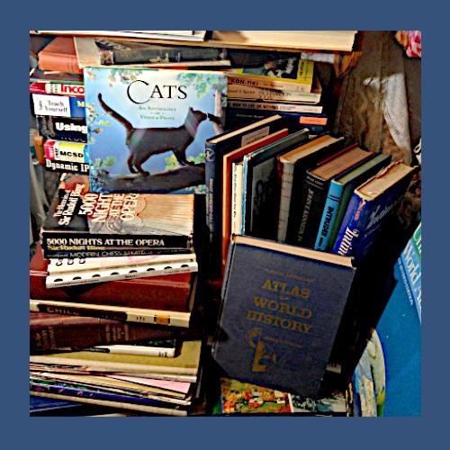 洋書 Dictionary  Contemporary American Usage A dictionary of contemporary American usage, by Bergen Evans