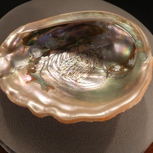 Antique Vintage Genuine Abalone Iridescent Large Natural Sea Shell Dish Bowl Table Top Collectable Home Decor Classic Mid Century Modern