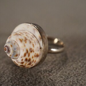 Vintage Band Ring Sterling Silver Raised Relief Dimensional Genuine Sea Shell Single Stone Setting Artist Classic Collectable, Size 8 image 3