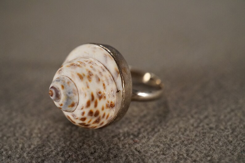 Vintage Band Ring Sterling Silver Raised Relief Dimensional Genuine Sea Shell Single Stone Setting Artist Classic Collectable, Size 8 image 3