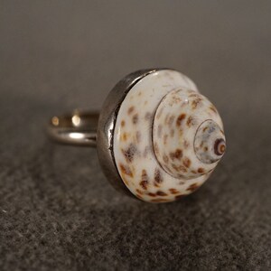 Vintage Band Ring Sterling Silver Raised Relief Dimensional Genuine Sea Shell Single Stone Setting Artist Classic Collectable, Size 8 image 2