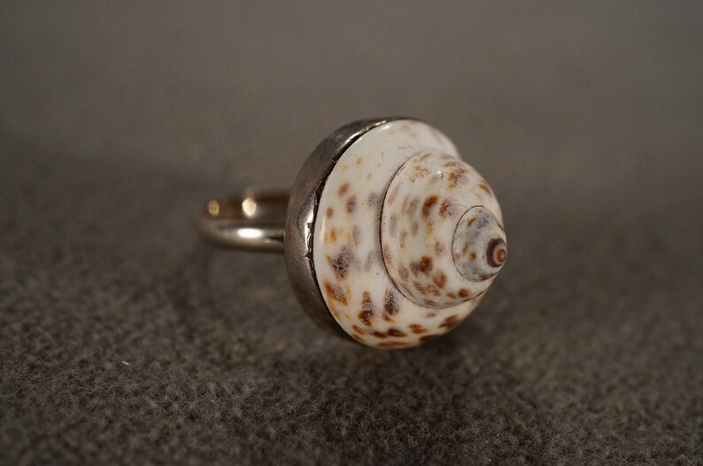 Vintage Band Ring Sterling Silver Raised Relief Dimensional Genuine Sea Shell Single Stone Setting Artist Classic Collectable, Size 8 image 2