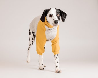 Custom-made 2-color cotton dog sweater