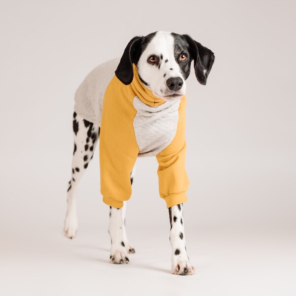 Custom-made 2-color cotton dog sweater