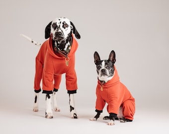 Custom-made 4-legged hoodie / 4-legged hoodie for dogs